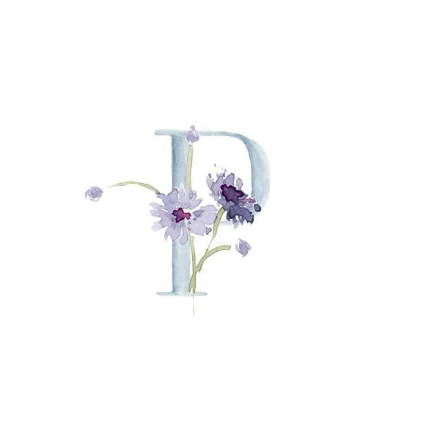 Wildflower Alphabet Notecard Set